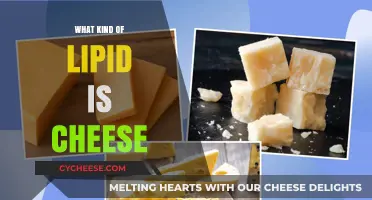 Unveiling the Lipid: Cheese's Creamy, Nutritious Fat