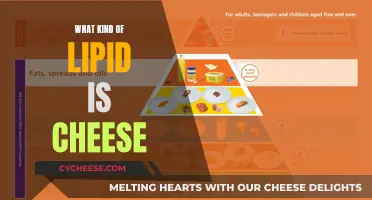 Cheese Lipids: What Type of Fat is it?