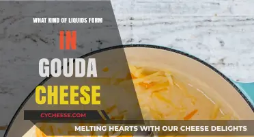 Unveiling the Liquid Secrets Within Gouda's Golden Core