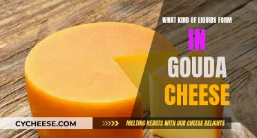 Gouda's Liquid Gold: The Science of Cheese Aging