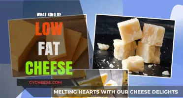 Exploring the Best Low-Fat Cheese Options: A Guide to Healthy Indulgence