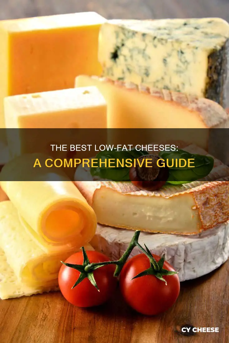 what kind of low fat cheese