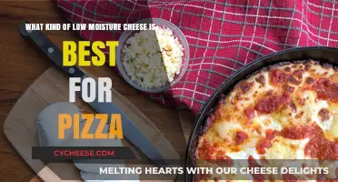 The Ultimate Guide to Low-Moisture Cheese for Pizza: A Cheesy Adventure