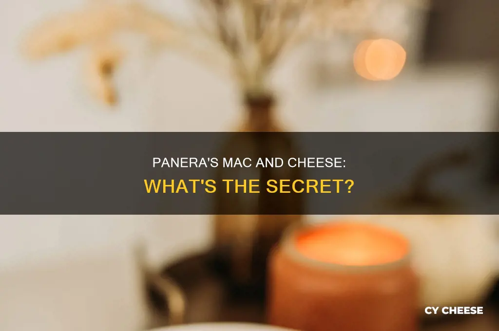 what kind of macaroni and cheese does panera use