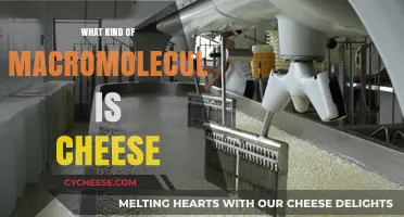 Unraveling the Macromolecular Mystery: Cheese, a Protein-Rich Delight