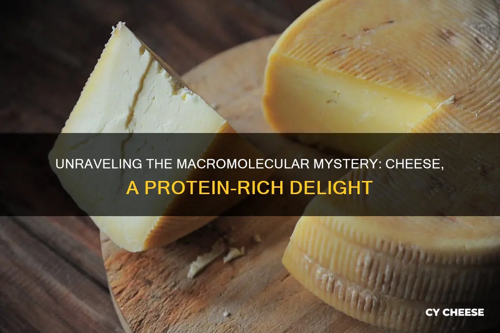 what kind of macromolecule is cheese