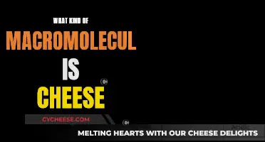 The Chemistry of Cheese: Understanding Macromolecular Makeup