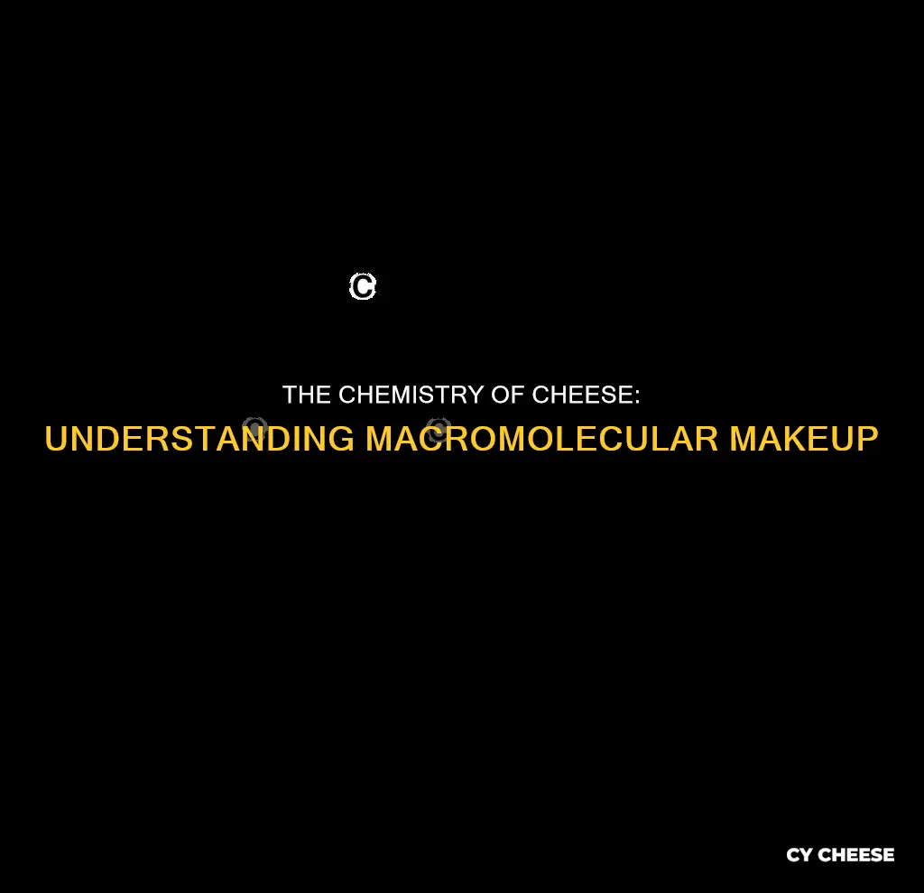 what kind of macromolecule is cheese