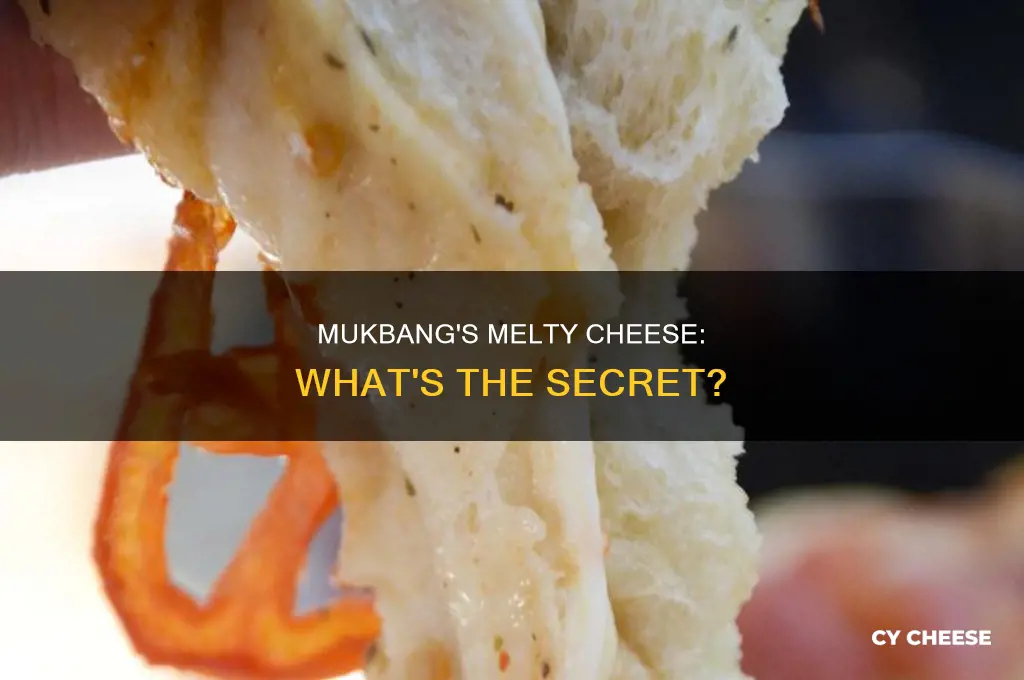 what kind of melty cheese do mukbangers use
