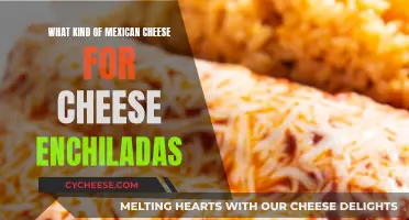 Best Cheeses for Enchiladas: Mexican Melting Magic