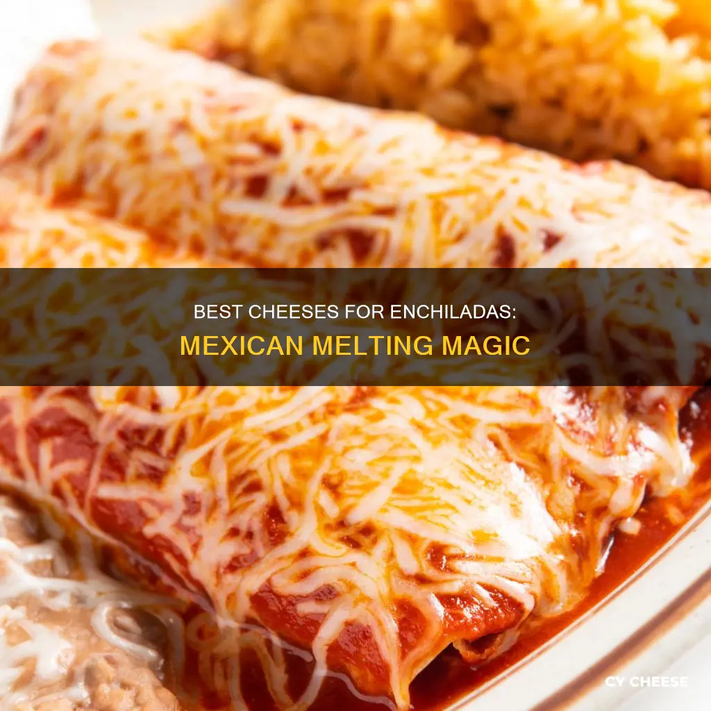 what kind of mexican cheese for cheese enchiladas