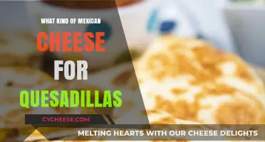 Quesadilla Cheese Guide: Mexican Varieties for the Perfect Bite