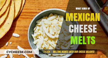 The Ultimate Guide to Melting Mexican Cheeses