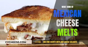 Best Melting Mexican Cheeses for Your Next Dish
