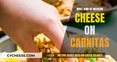 Carnitas and Mexican Cheeses: Perfect Pairing Options