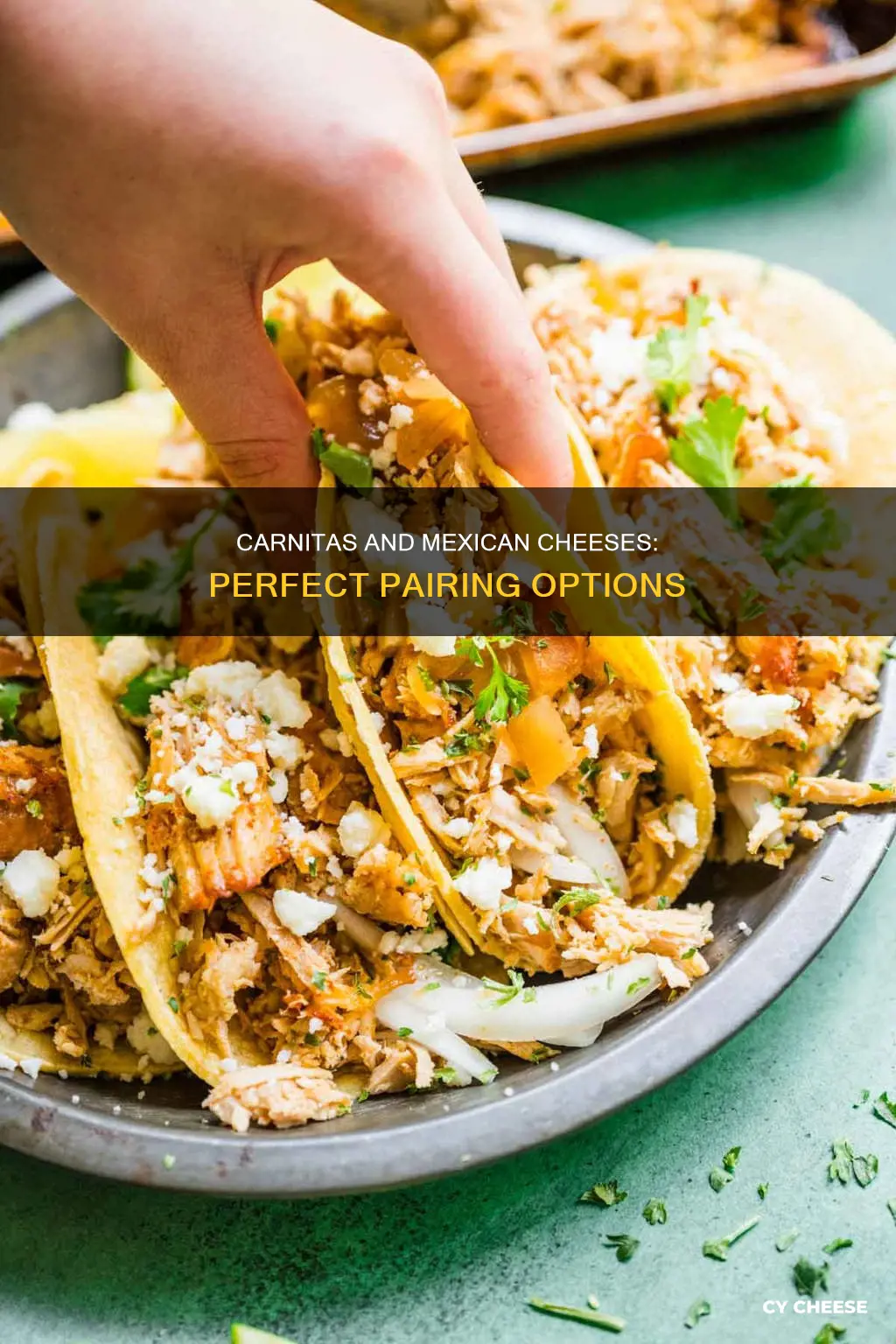 what kind of mexican cheese on carnitas