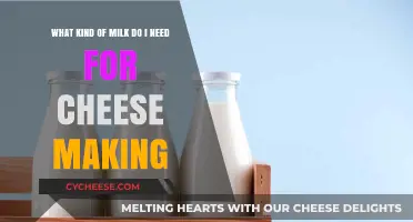 Mastering Cheese: Choosing the Right Milk for Your Craft