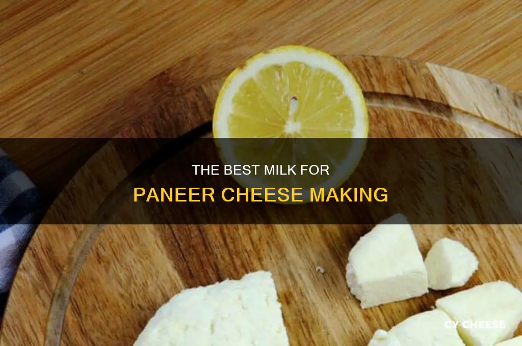 what kind of milk do you use for paneer cheese
