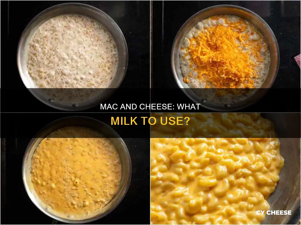 what kind of milk goes in macaroni and cheese