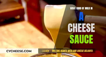 Cheese Sauce Secrets: Milk Types and Their Magic