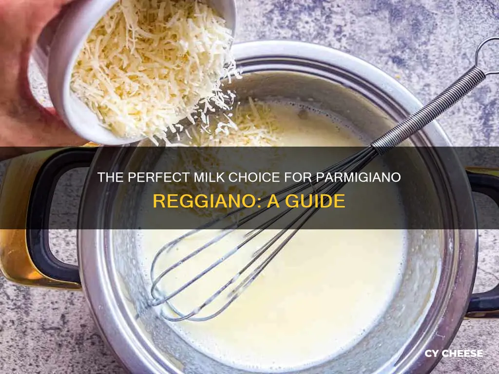 what kind of milk in parmigiana reggiano cheese