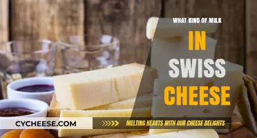 Unveiling the Swiss Secret: Milk's Role in Cheesy Delight