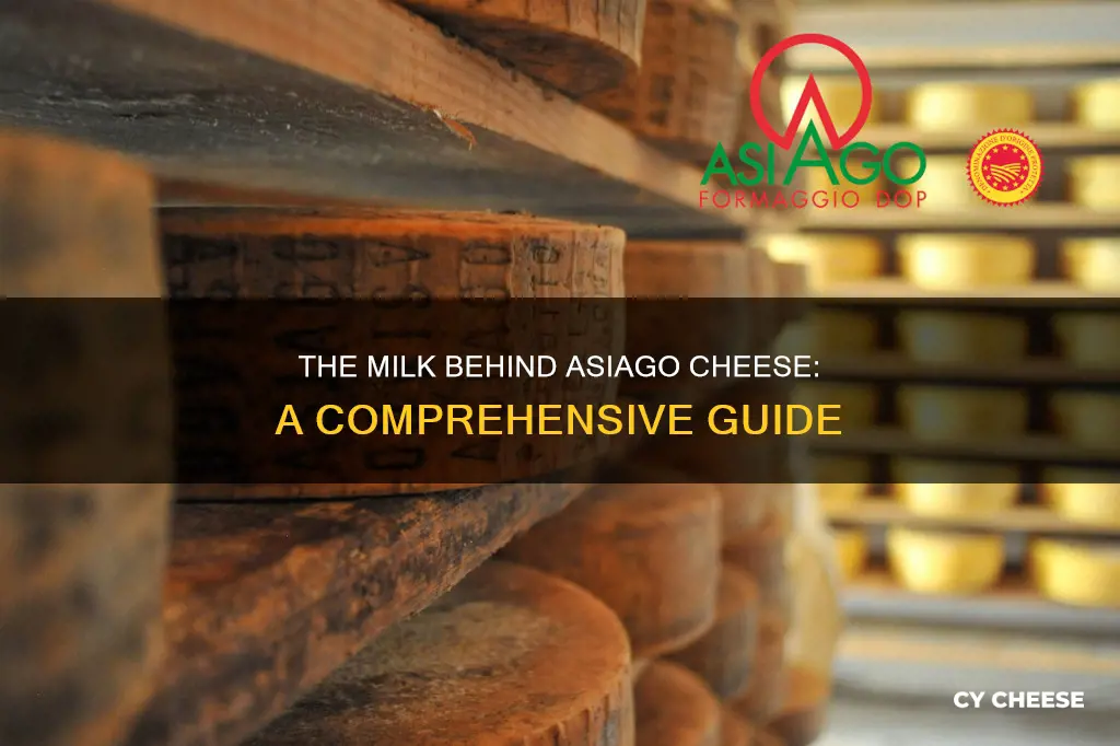 what kind of milk is asiago cheese made from