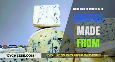 Unveiling the Blue Cheese Mystery: Milk's Surprising Origin