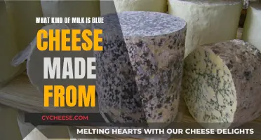 Blue Cheese Milk: What's the Source?
