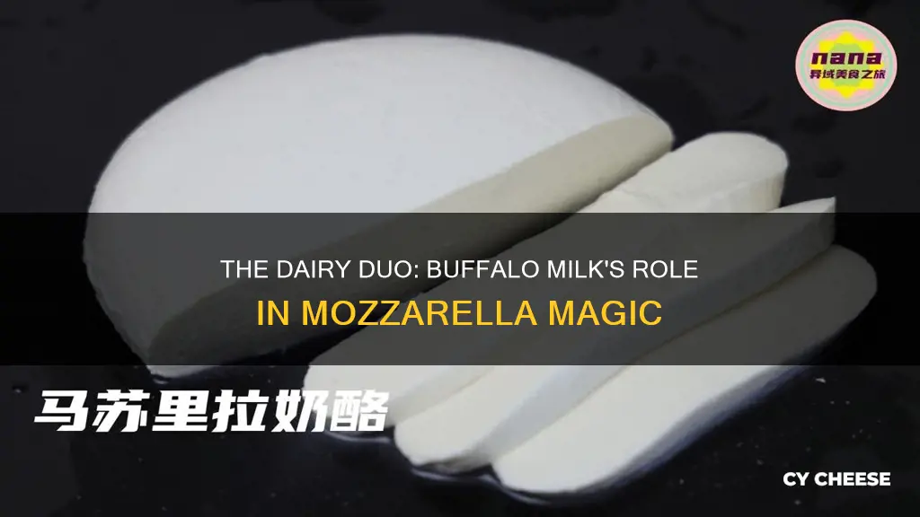 what kind of milk is buffalo mozzarella cheese made from