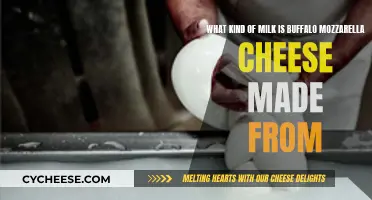The Art of Mozzarella: Buffalo Milk Magic