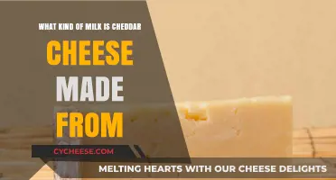 The Dairy Connection: Cheddar's Milk Origin Story