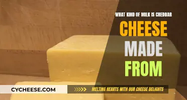 Cheddar Cheese: What Milk is Used and Why?