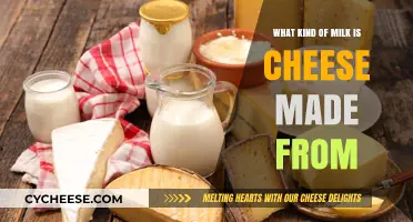 Unveiling the Milk Mystery: Cheese's Liquid Origin