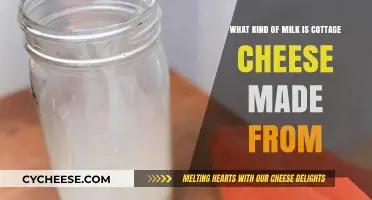 Cottage Cheese Milk Mystery: Unveiling the Dairy Source Behind the Curds