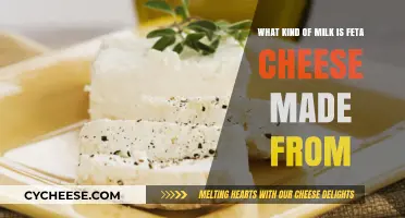 Feta's Milk Mystery: Unveiling the Cheesy Secret