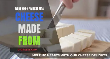 Feta Cheese: What Milk is Used and Why?
