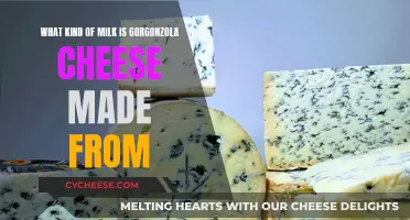 Gorgonzola Cheese: The Secret Milk Behind Its Flavor