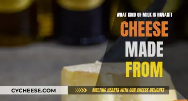 Havarti Cheese: What Milk is Used and Why?