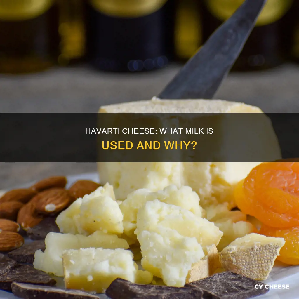 what kind of milk is havarti cheese made from