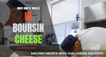 The Milk in Boursin Cheese: A Surprising Ingredient