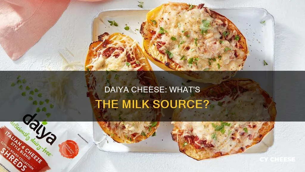what kind of milk is in daiya cheese