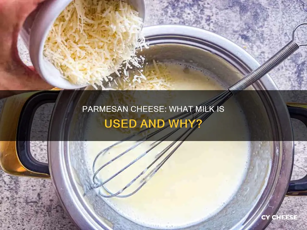 what kind of milk is in parmesan cheese