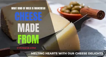 Manchego Cheese: The Milk Source and Its Magic