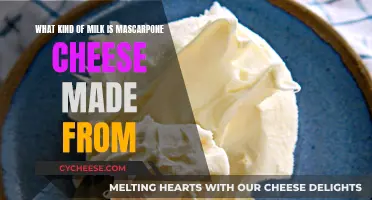 The Milk Behind Mascarpone Cheese