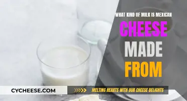 The Milk Behind Mexican Cheese: A Comprehensive Guide