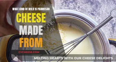 The Milk Behind Parmesan Cheese's Unique Flavor
