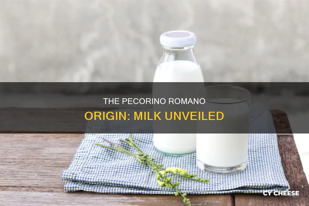 what kind of milk is pecorino romano cheese made from