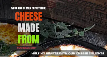 Provolone Cheese: What Milk is Used and Why?