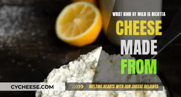 Ricotta Cheese: What Milk is Used and Why?